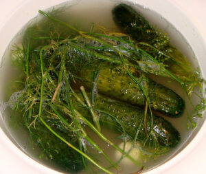 Ashkenazi-style Kosher Dill Pickles