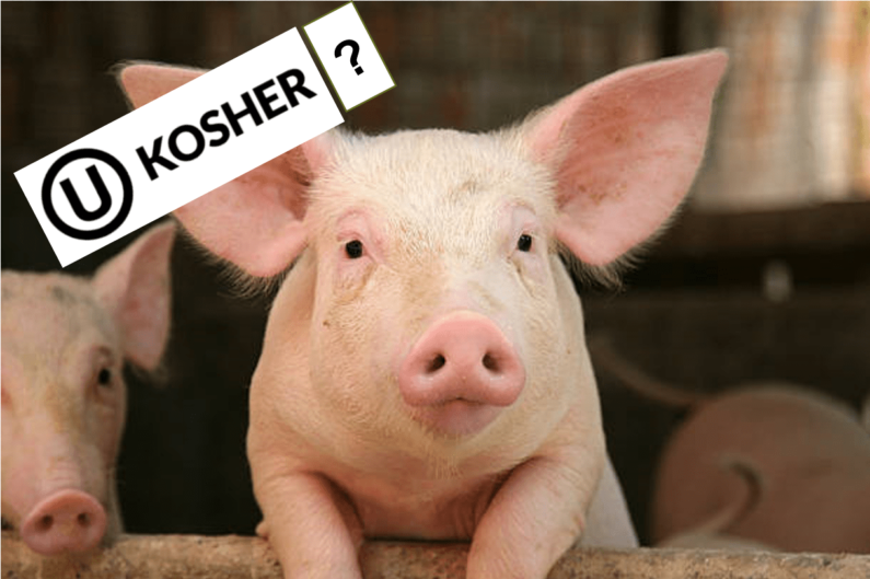 Kosher pork? Many former Soviet Jews speak of it.